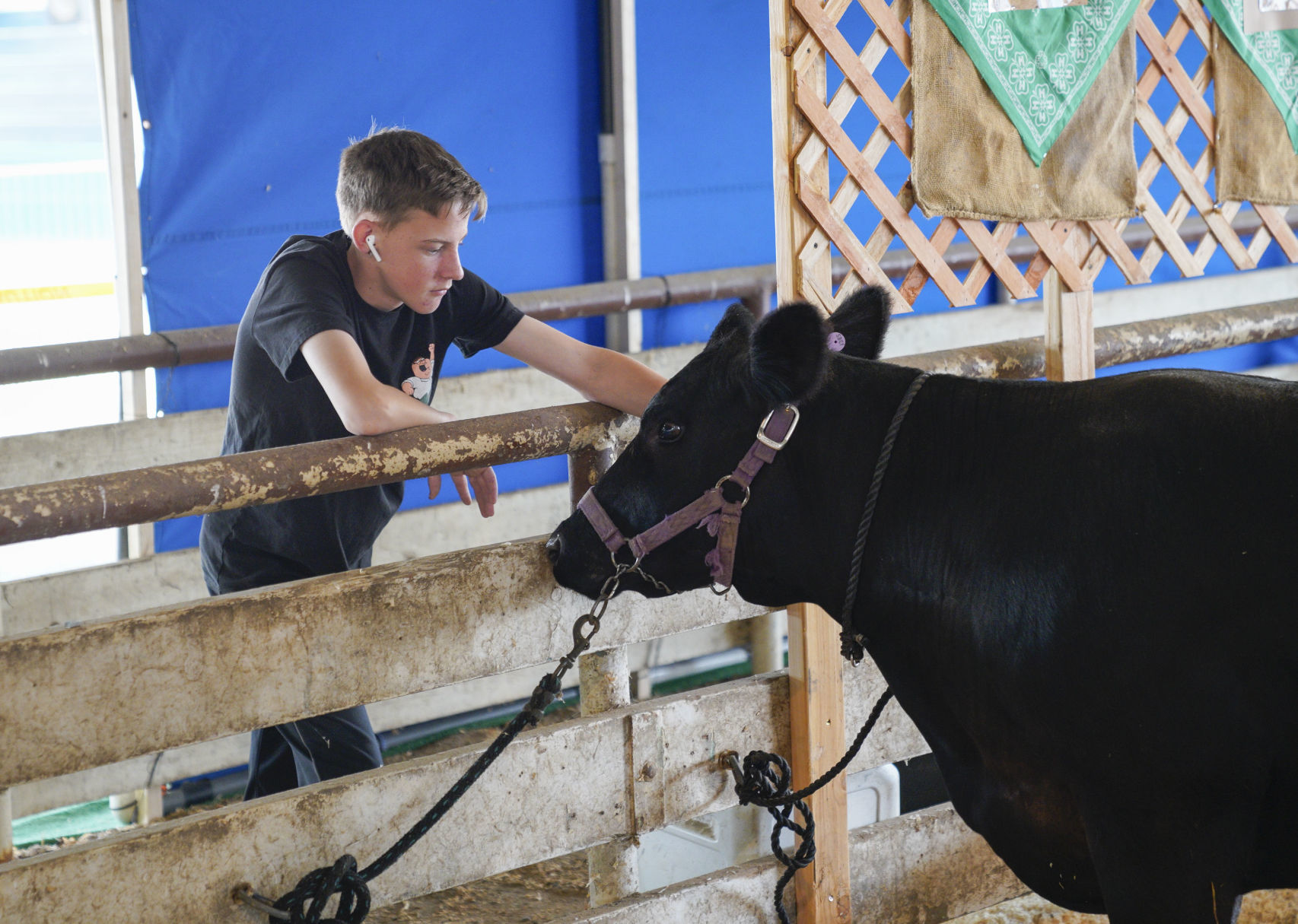 070719 Animals Arrive for Fair 06.jpg